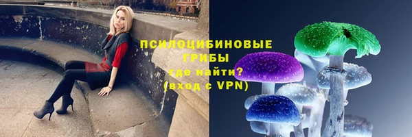 молекула духа Волоколамск