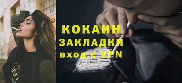 молекула духа Волоколамск