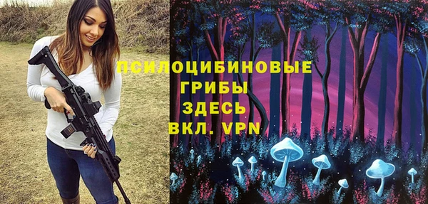 молекула духа Волоколамск