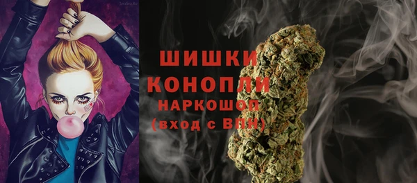 гашик Ростов