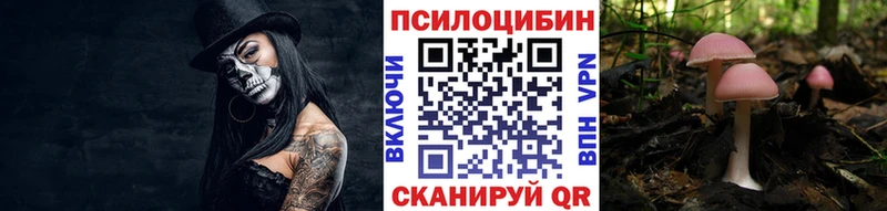Галлюциногенные грибы мицелий  Волхов 